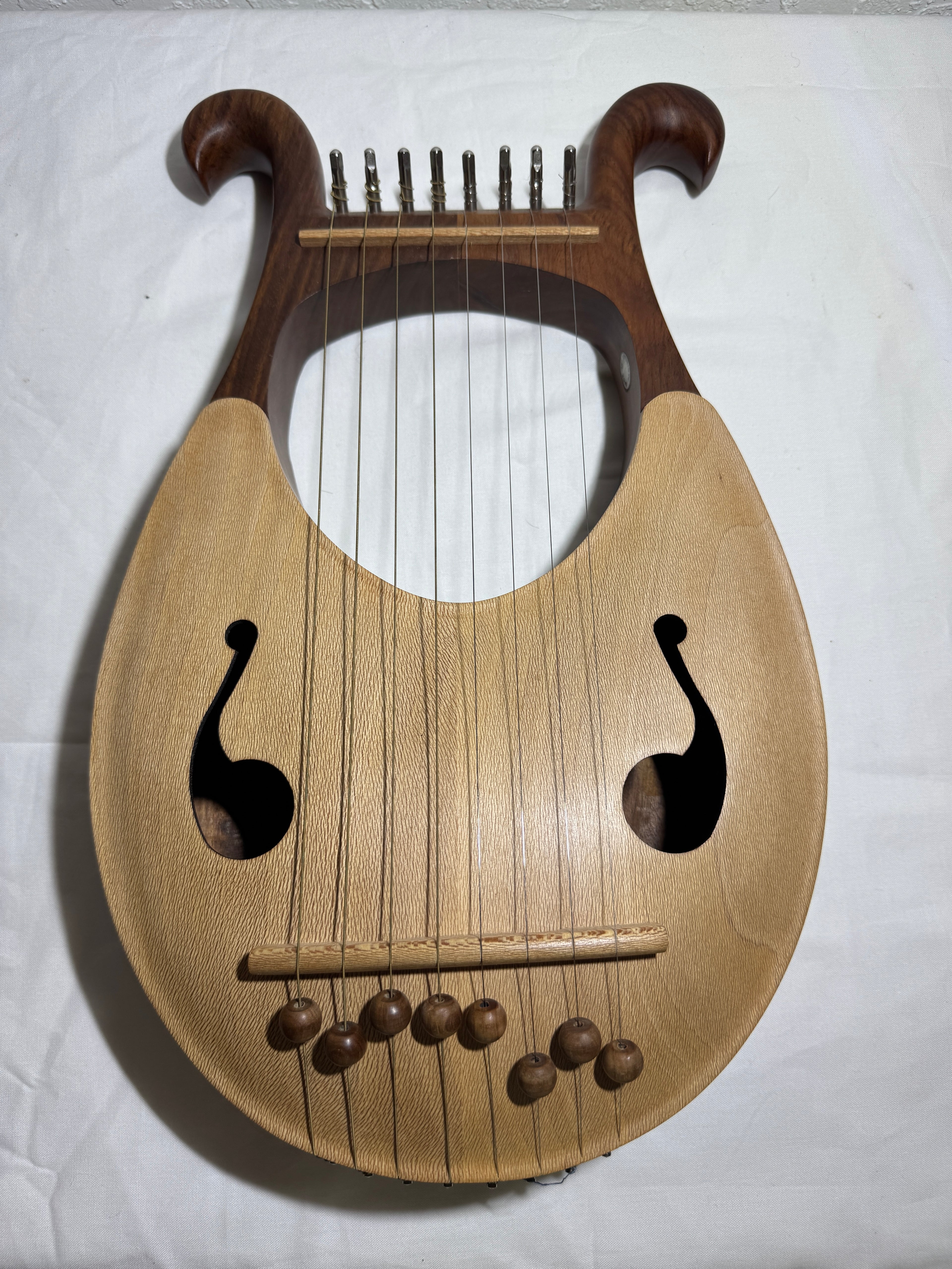 Pakistani Lyre